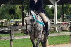 19657384_10156346023108082_5167897499748806653_n