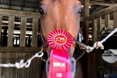 19894587_10156378172318082_6031569776229592841_n