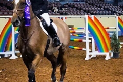 20046518_10156411568973082_7191028329901129017_n