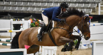 Elmstead Farm and Leonardo