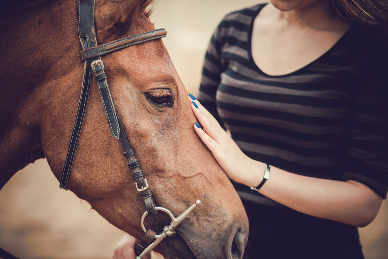 Exploring the Benefits of Equine Therapy