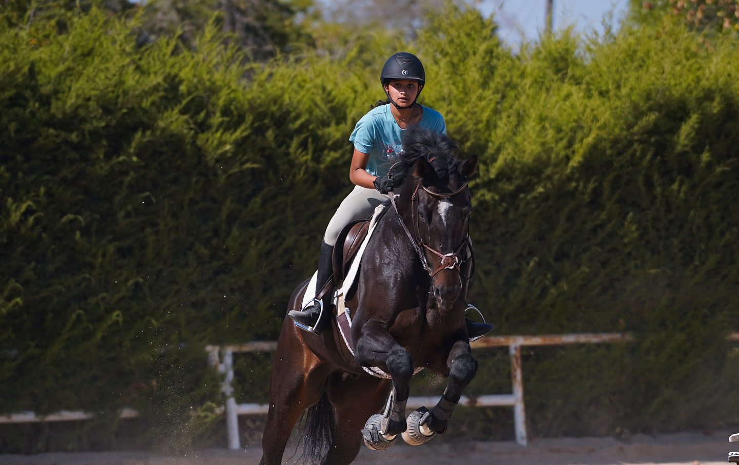 Tips for Selecting the Right Horse