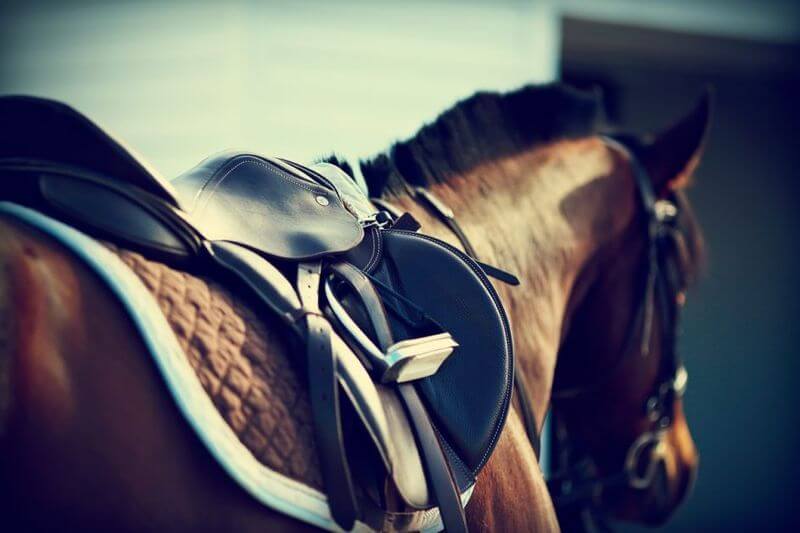 The Benefits of Horseback Riding for Kids and Adults