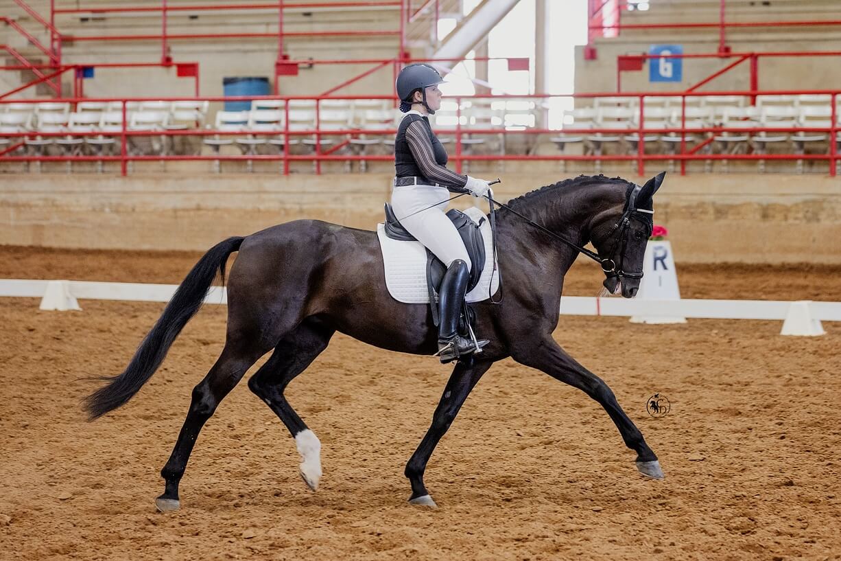 What to Expect During Your First Horse Riding Lesson in Wylie