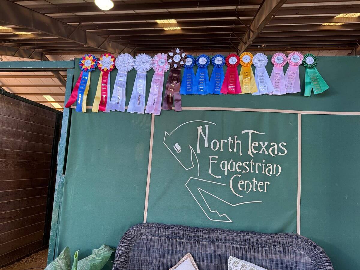 How Often Should You Visit Your Horse While It’s Boarded?