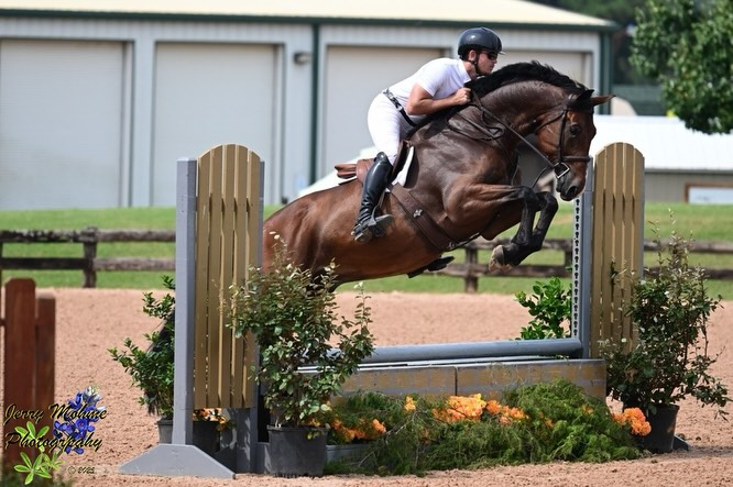 How to Choose the Right Horseback Riding Instructor