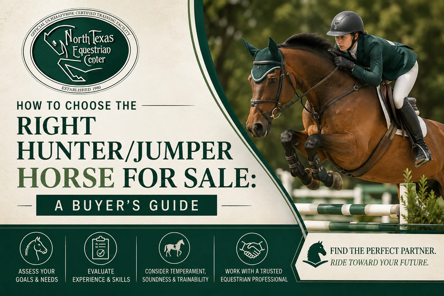 How to Choose the Right Hunter/Jumper Horse for Sale: A Buyer’s Guide